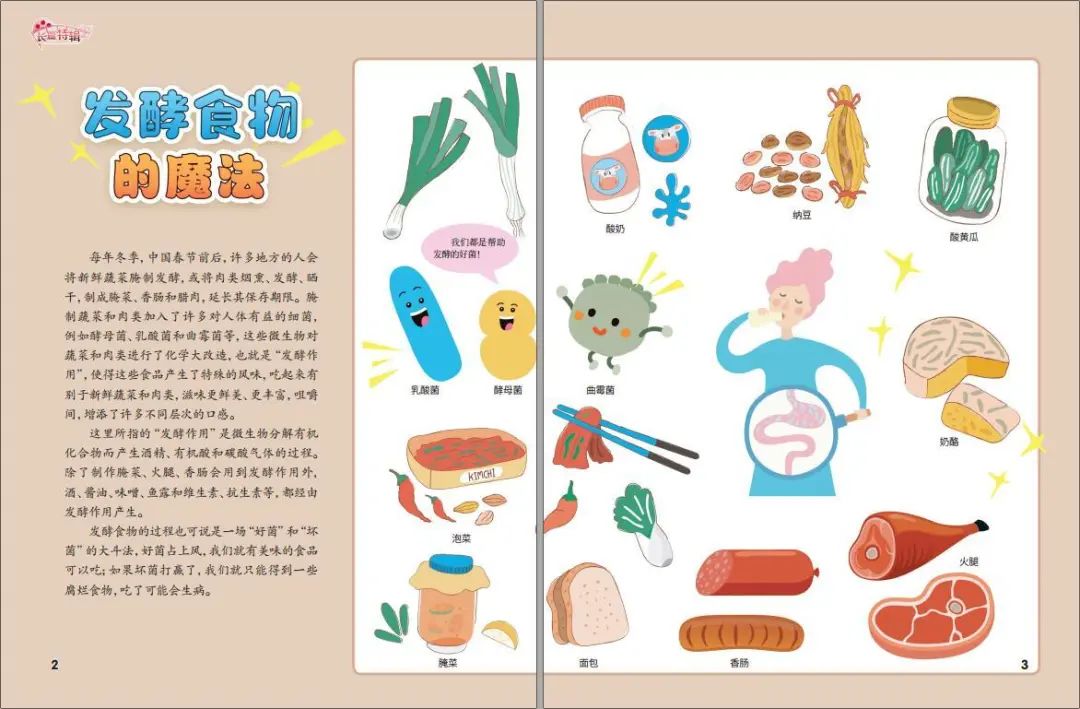 发酵食物的魔法.jpg